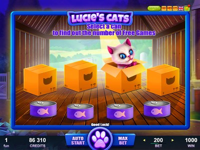 Lucie's cats — Belatra Games